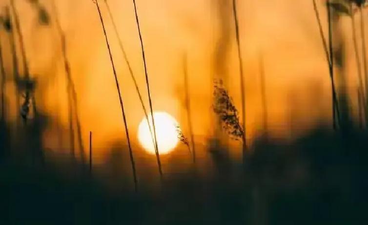 一男子160万买的房跌到39万，在办公室叹气，领导路过拍拍肩：再买一套，均价就下