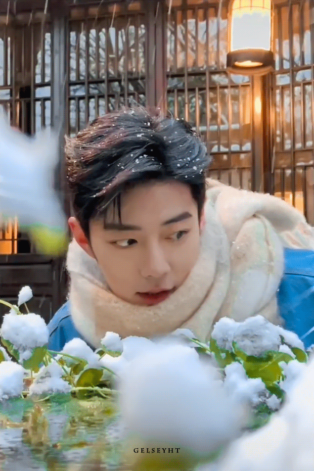 肖战🌨️雪花飘落在你眼眸肖战
