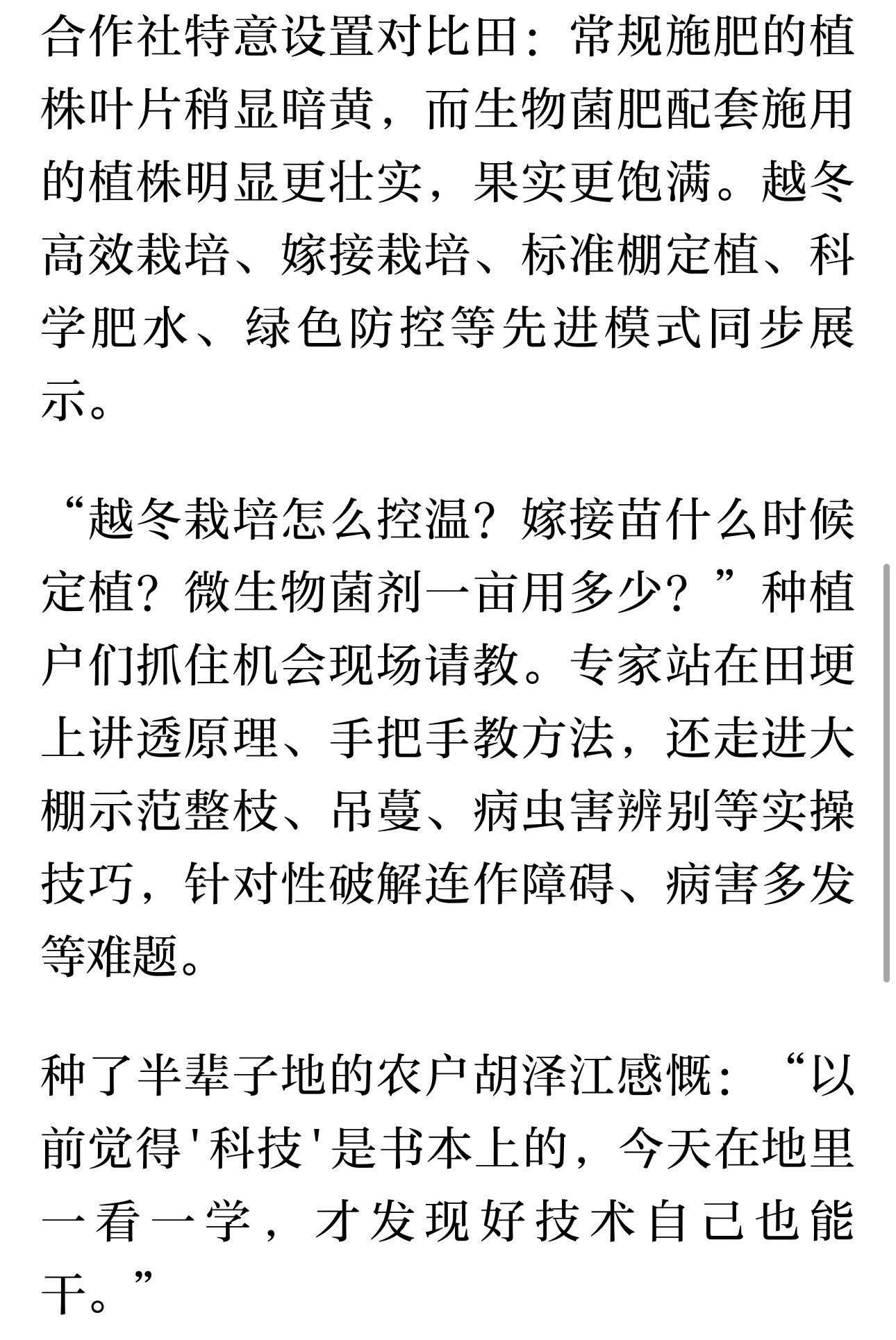 科技赋能宁波宁海打造致富金钥匙科技赋能番茄种植宁海胡陈打造增收致富"金钥匙"