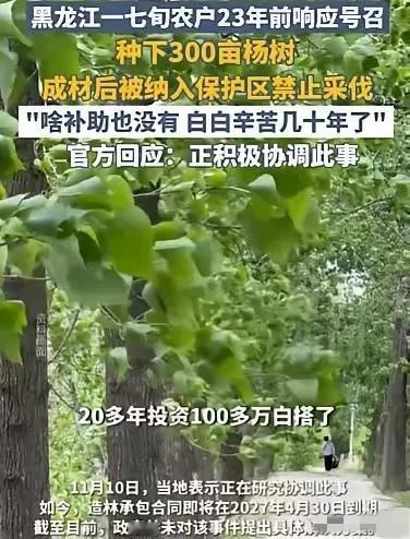 黑龙江齐齐哈尔市，72岁农妇，在23年前，种了300亩杨树，有数万颗，投资了10