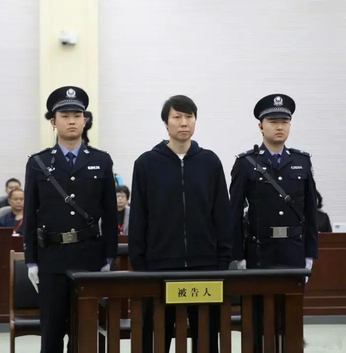 李铁二审仍被判20年正式认罪态度良好，供出幕后不少人有立功表现，才轻判到20年的