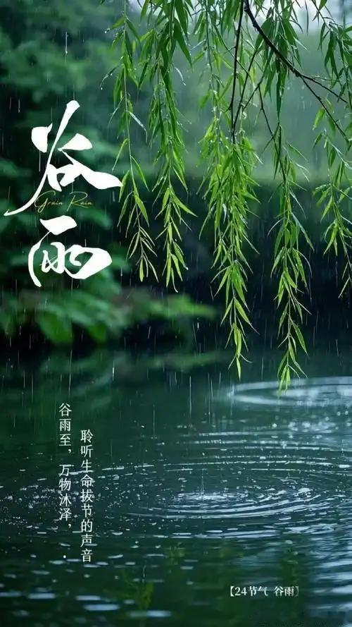 七绝谷雨时节观落花谷雨风来落瓣轻，阶前铺锦惜春程。纵然辞树香魂在，