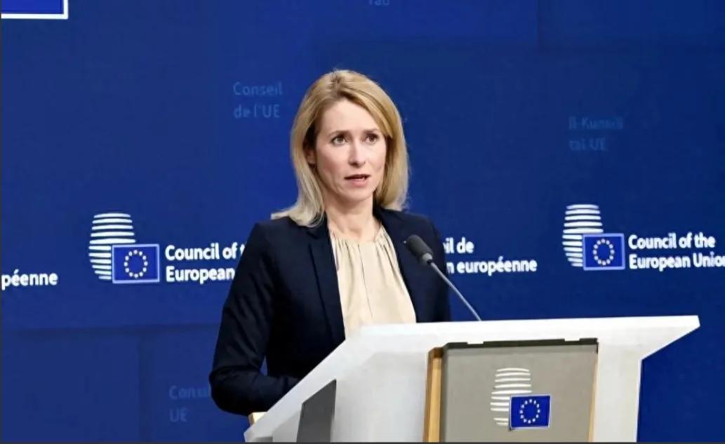 欧盟终于彻底撕下了最后一块遮羞布！不是对俄罗斯动真格，而是把所有的狠劲都对准了中