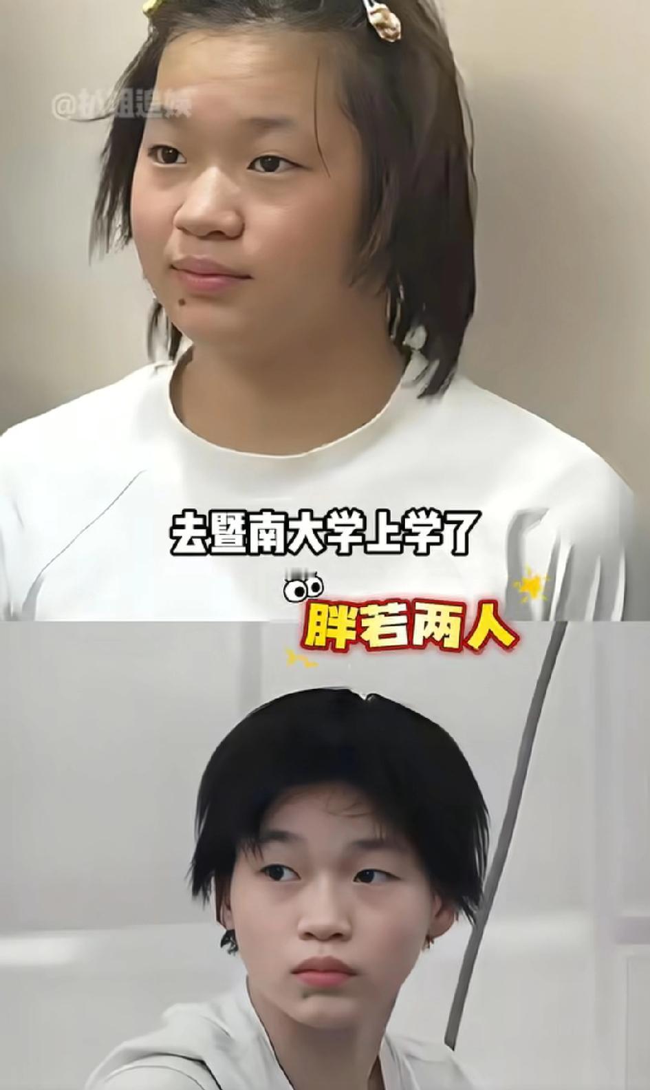 全红婵的大学生活和普通学生没什么两样，普通的宿舍挂满了玩偶，满满少女心她同学听