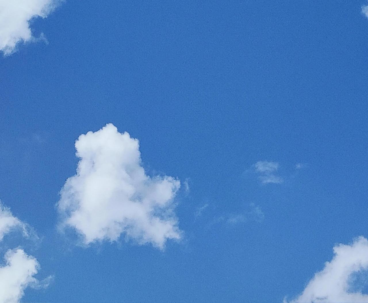 我真的好羡慕我的一个表姐，她从小就一直过的一帆风顺，头脑也很聪明，不管初中高中都