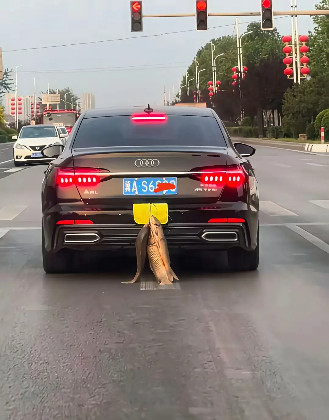 没错，我这就是赤裸裸的炫耀！