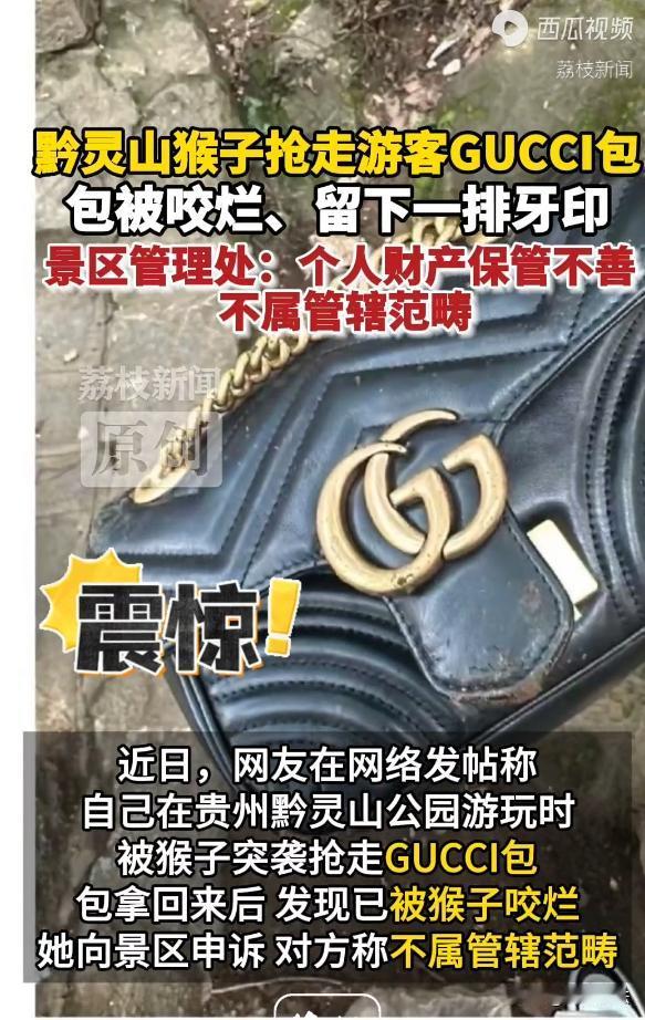 贵州贵阳，一女子在公园景区游玩时，自己的大牌包包被猴子抢走，拿回来发现包被咬烂，
