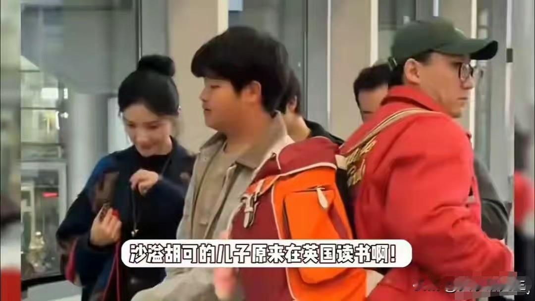 沙溢胡可这事我仔细看了看，一看就明白了。原来他们俩这么拼，是为了两个在英国