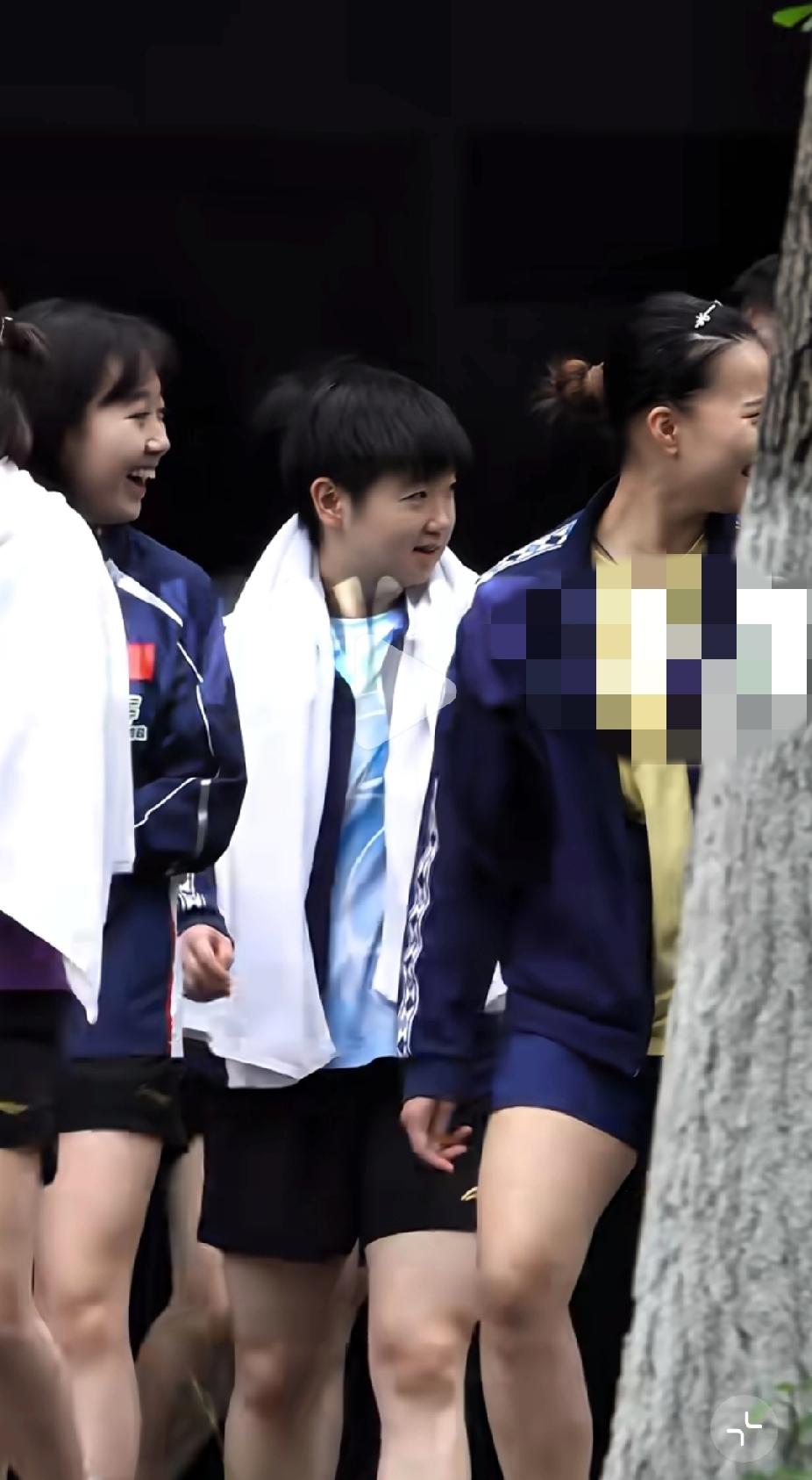 晨训小记·好奇小咪的日常成都清晨的风还带着凉意，孙颖莎的身影就出现在训练馆