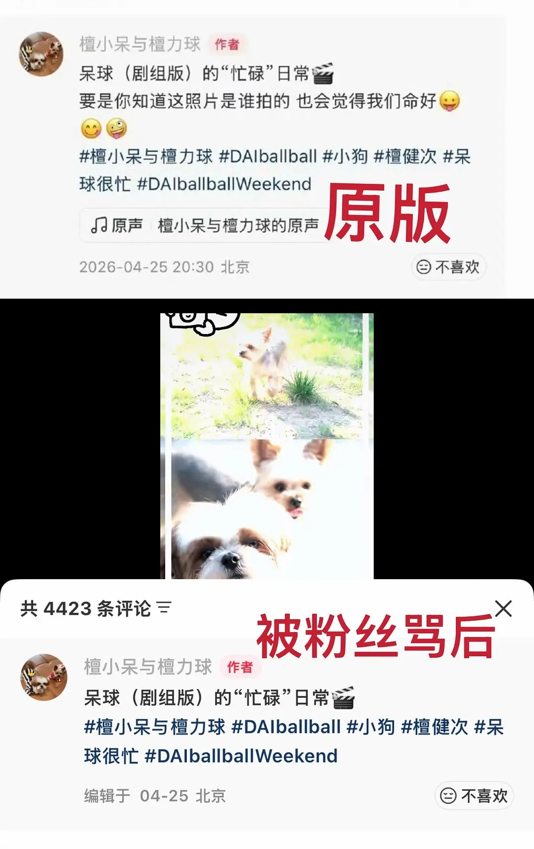 粉丝又被背刺了😭