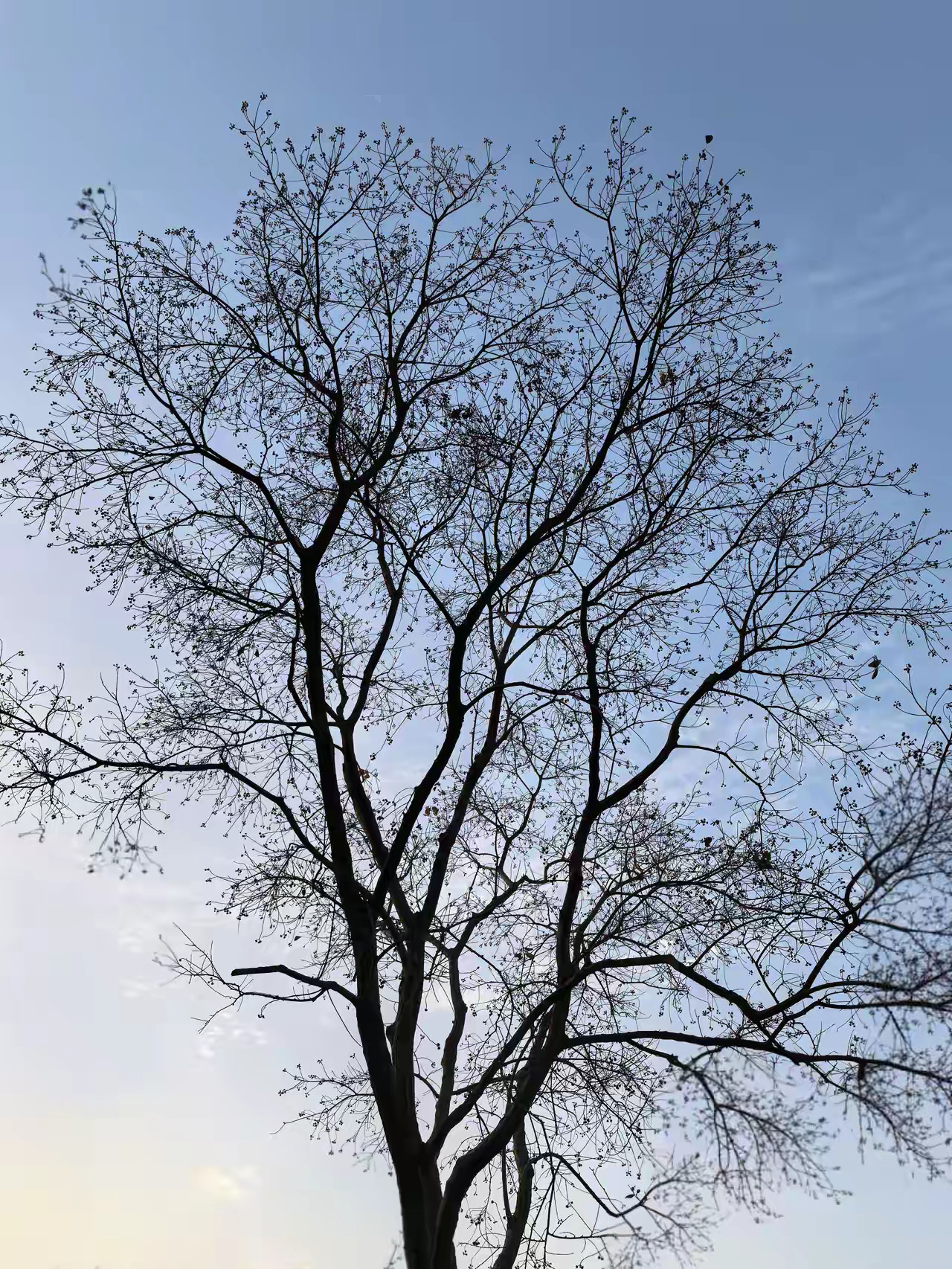 很喜欢一句话：“人只有知道自己无知以后，才会从骨子里谦和起来。不再恃才傲物；不再