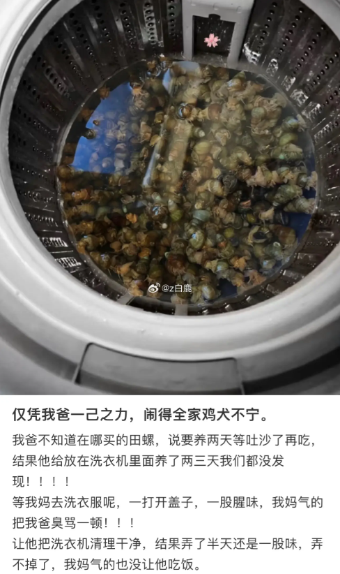 洗衣机中间是什么字我请问呢
