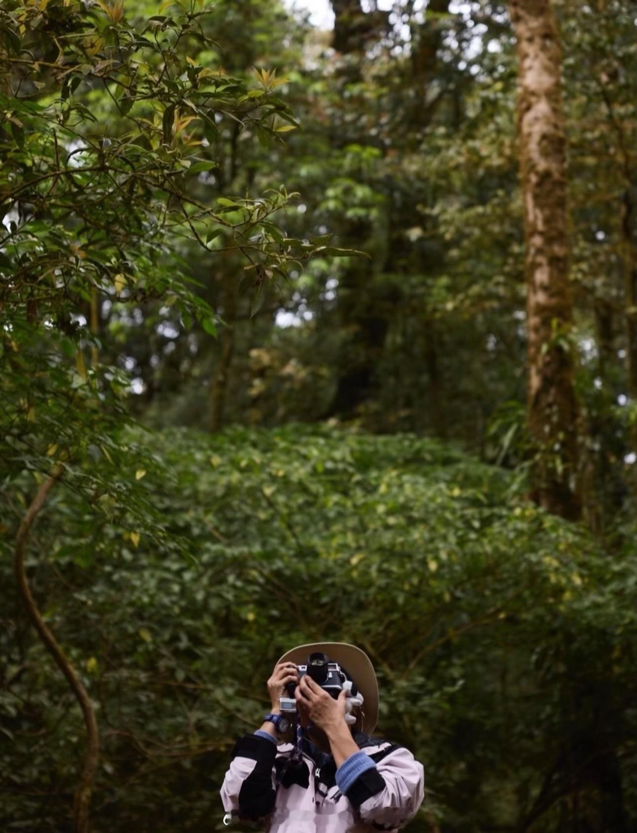 王室王室泰国王室镇宅镇宅继续在清迈度假，她不可能去见诗丽帕的，这表姐妹从无往来