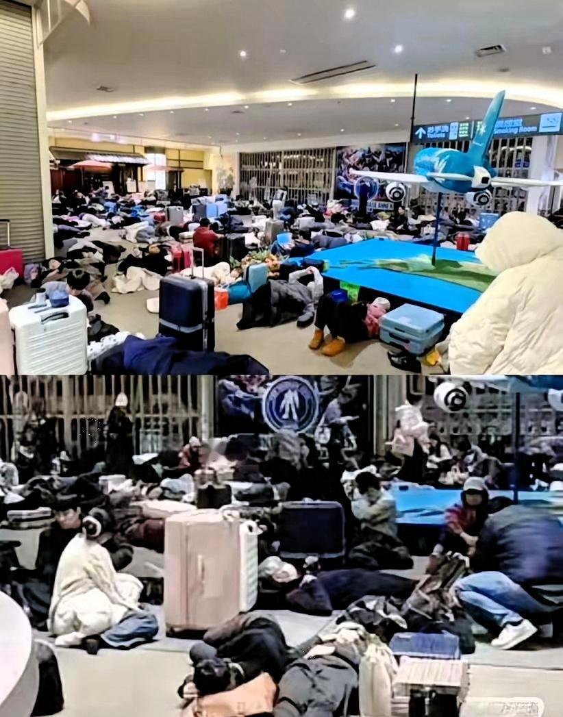 这几天北海道那场大雪，看得人心里直犯嘀咕。​原本以为同胞滞留机场，大家伙儿肯定