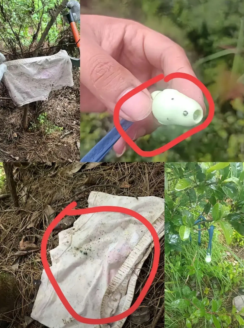 云南苍山找孩子最新后续！找到了小孩穿的内裤、口哨、帽子，玩具，袜子，可让人惊悚