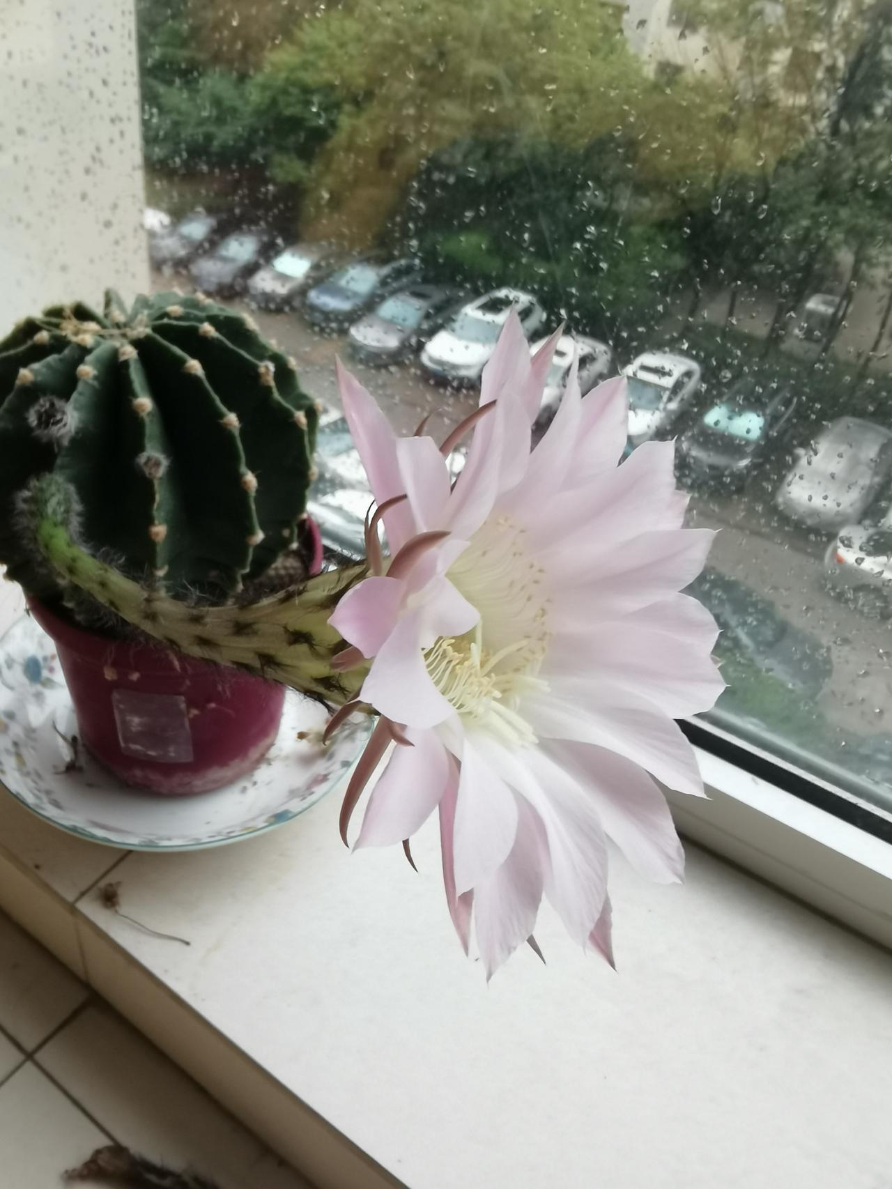 给明年高考生的忠告：别赌专业风口！985永远是985今年的高考志愿已经尘埃