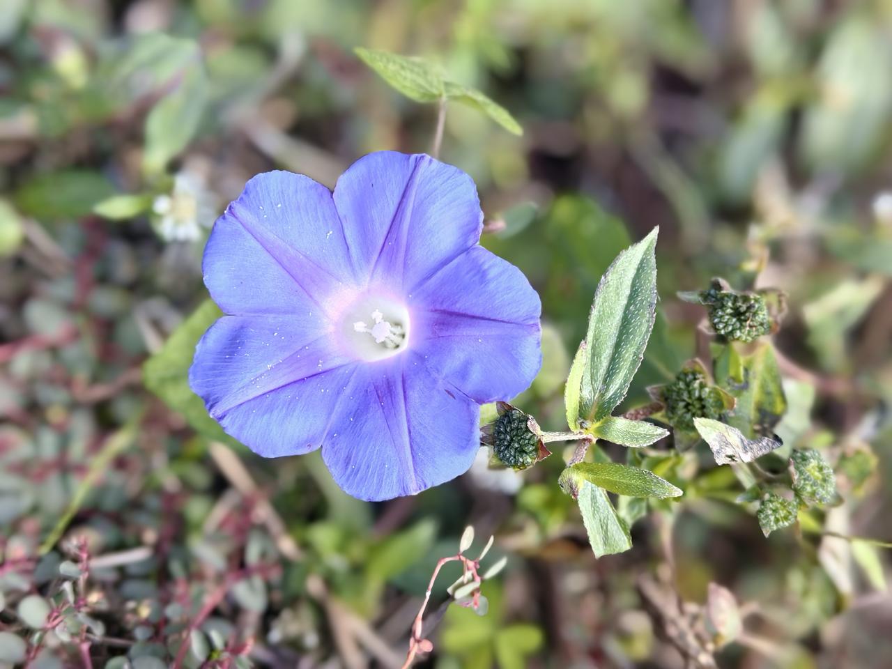体制内外不通婚，除非男人是秃头🦲。这几年的婚恋市场，默认体制内外不通婚。如