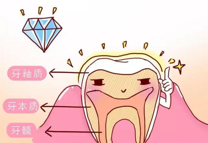 从不洗牙的人牙齿掉得快