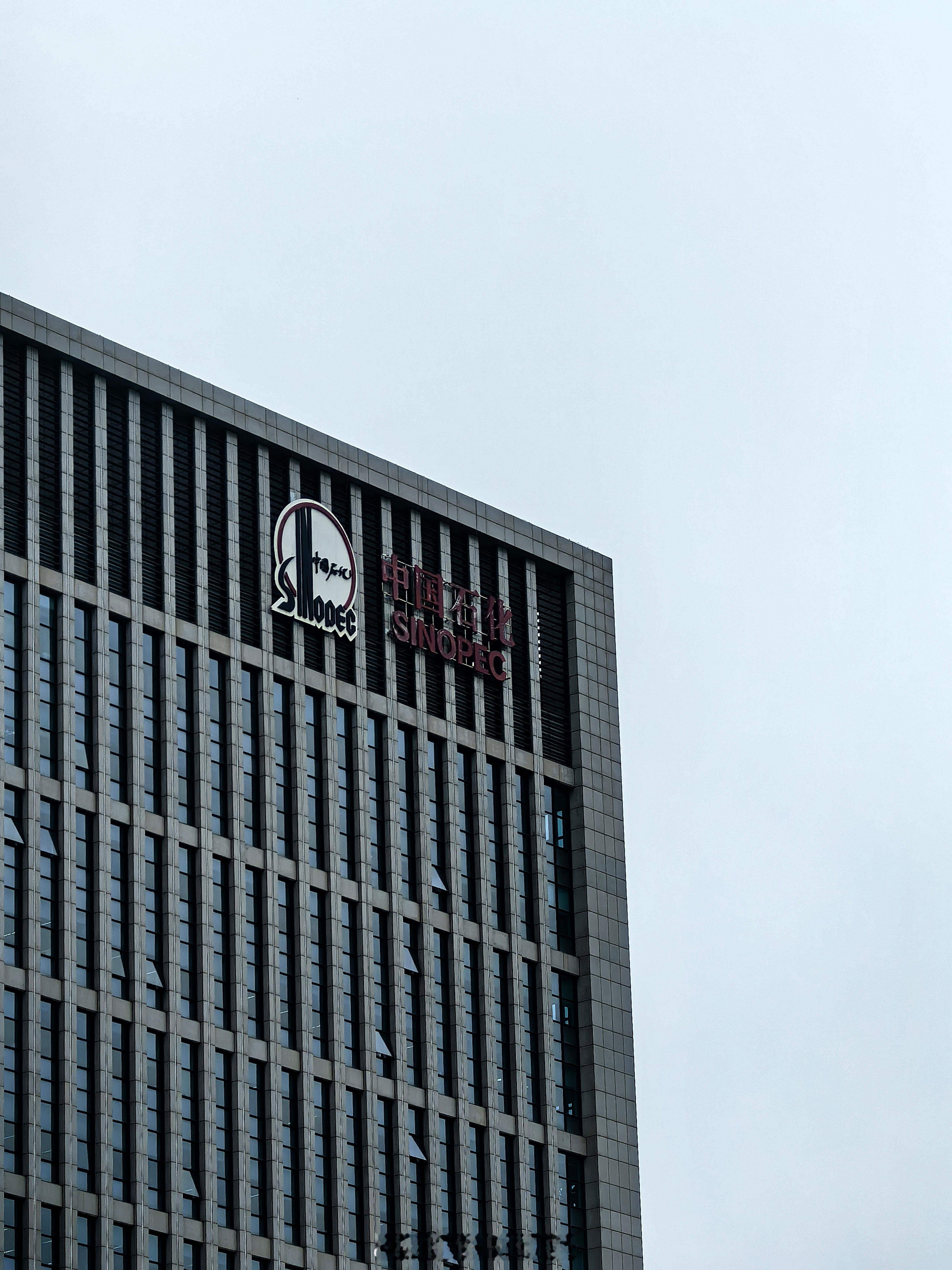 怎么有点亲切呢？嗷～原来我是他家的股东​​​