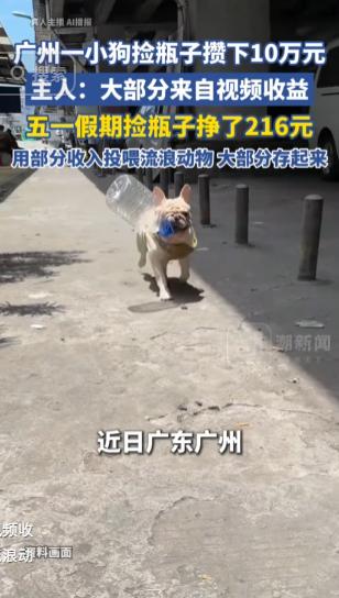 全网都被广州这只励志小狗圈粉了，懂事的小家伙常年坚持外出捡废品瓶子，慢慢积攒下来