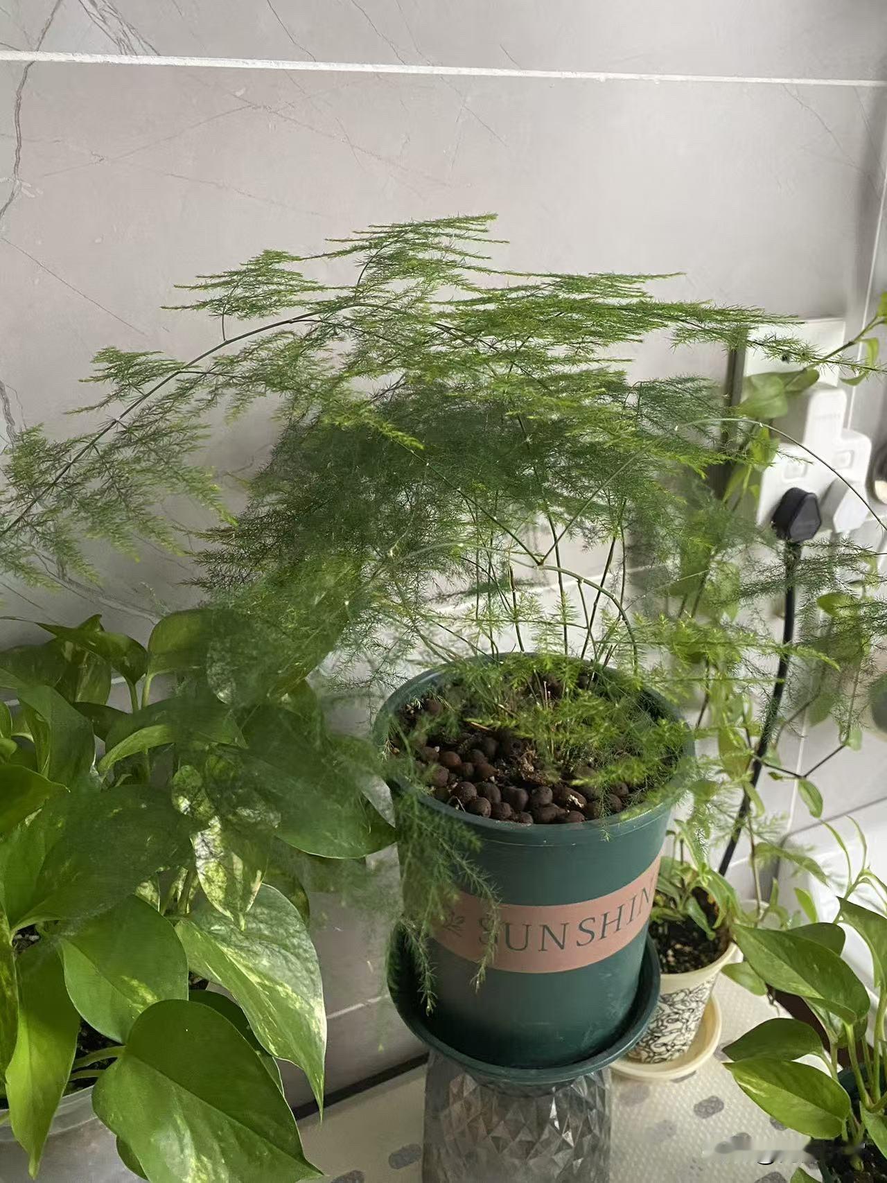 在抖音看到的，有个女的被骗了5万。她老公没有怪罪她，安慰了她一整天。女的通过