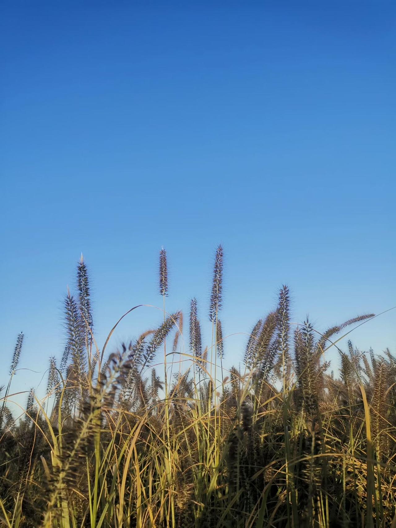 我跟你讲个事儿，听完保管你后背发凉。武汉一个保密单位，几十号人，手机在同一时间