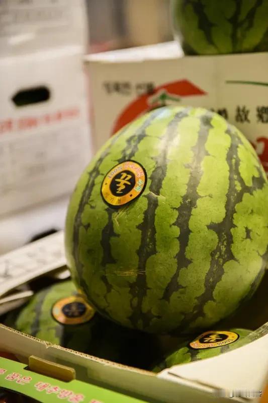 1、韩国能种西瓜的土地十分有限，而且只能大棚种西瓜，控温成本很高，产量则不高。