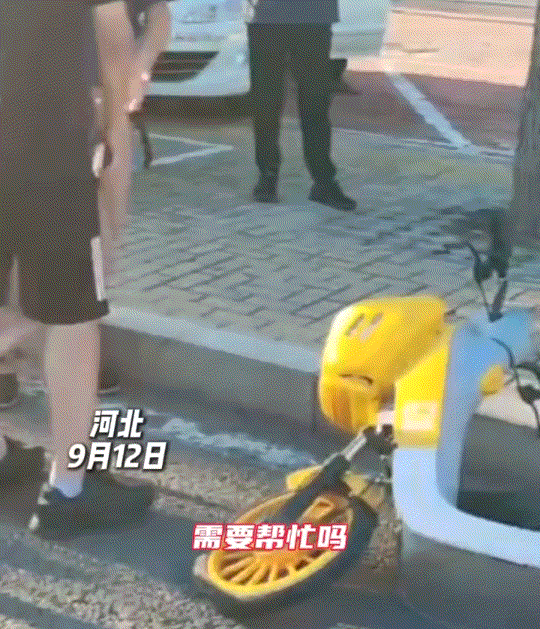 不说不知道，河北秦皇岛，一小伙骑共享单车时不慎撞到路边一大爷，接下来小伙立即给父