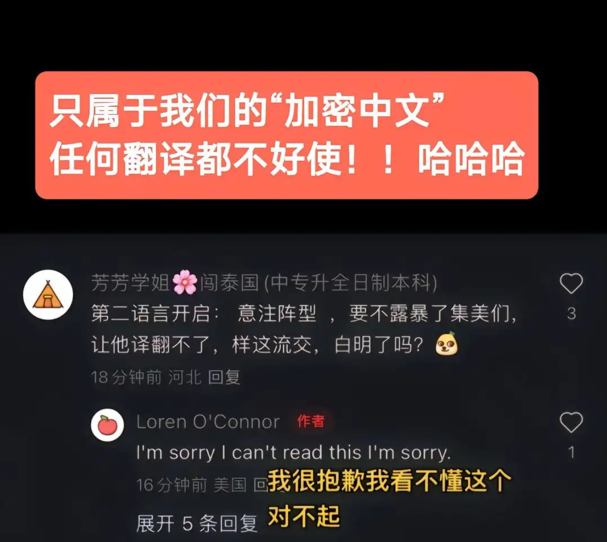 只属于我们的