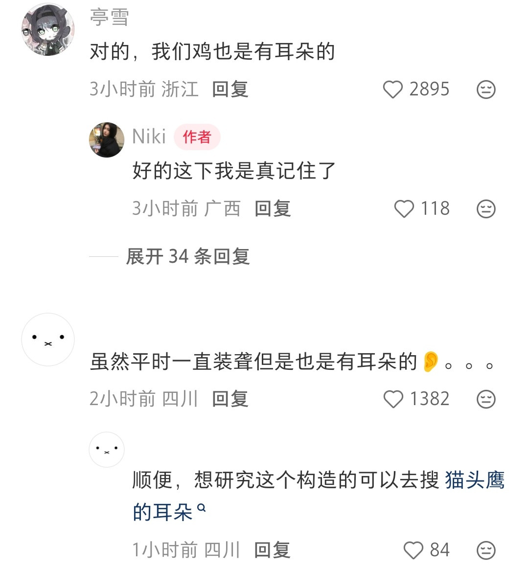 原来小鸟的这个洞洞是耳朵啊​​​