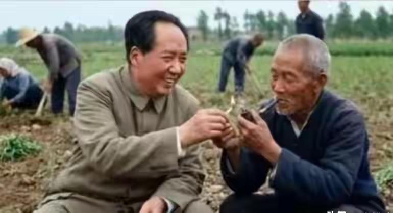 五十年代，毛泽东年轻帅气，头发乌黑，经常带着随行人员到农村去搞调查。毛主席告