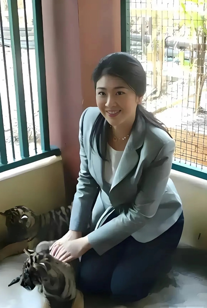 哇塞！英拉胆子可真大，即便是小的，但这可是老虎啊，而且周围还不是1只呢！不得不说
