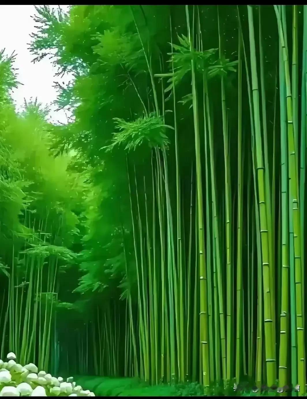 上联:阳光秋色增画意下联:竹影清风送书香横批:雅韵天成
