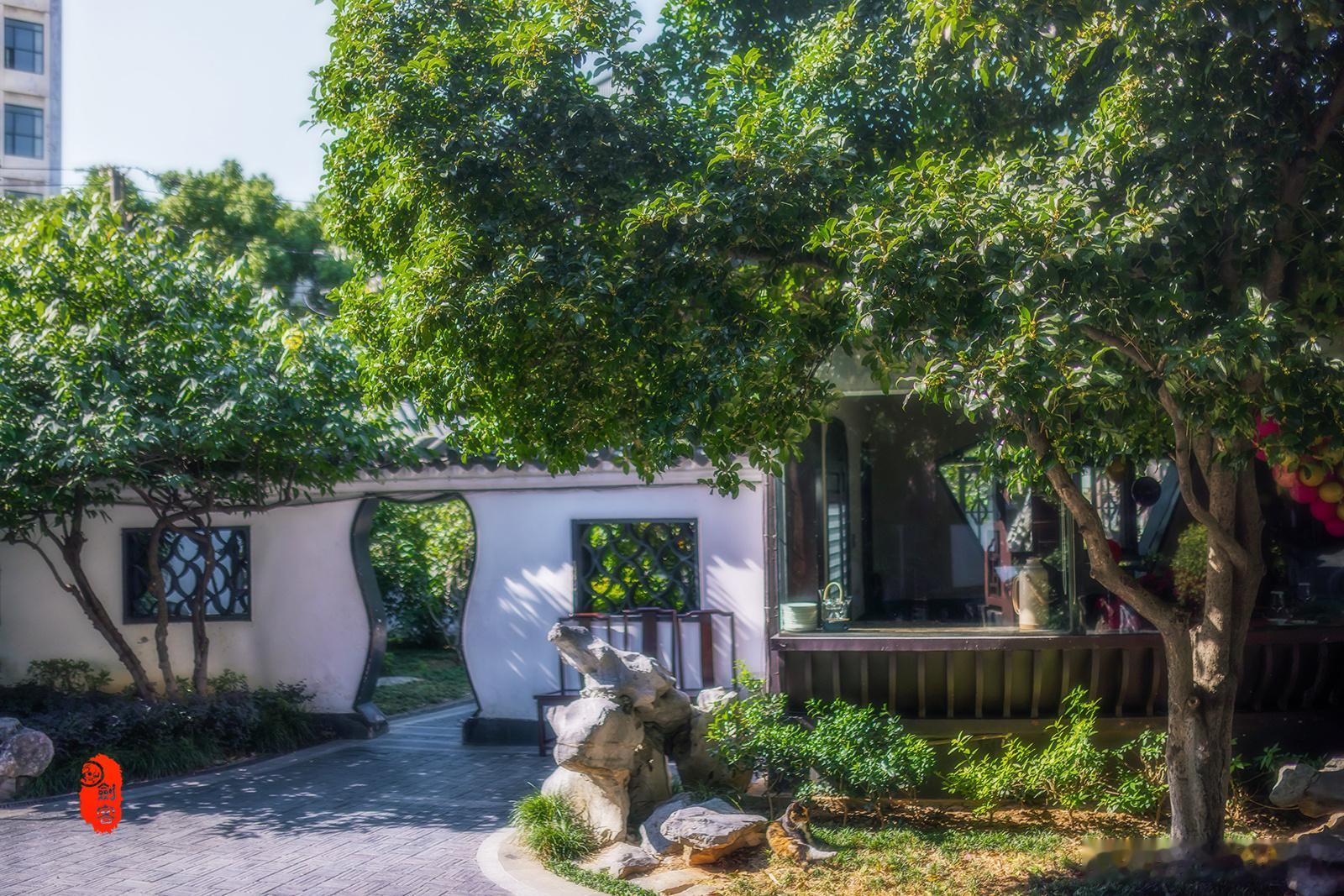 极美南京，金秋十月满城飘满桂花香，大钟亭·古建繁花桂花香南京读城记你会反复爱上南京我跟南京合个影我还