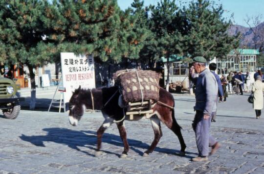 1981年，一位外国游客用镜头记录下的中国。摄影:Martin Stein