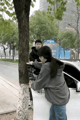 我去，这女司机也太笨了，不就是锯掉树这么简单的事吗？哦，对了，估计这女司机没有电