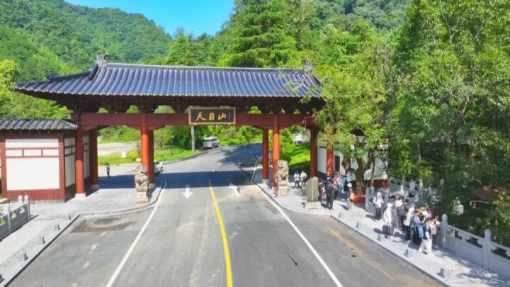 “王”者归来! 天目山“大树王国”