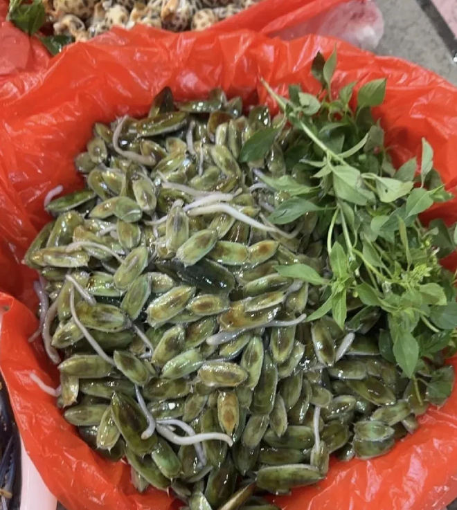 有谁介绍一下，这是哪里的特色美食？