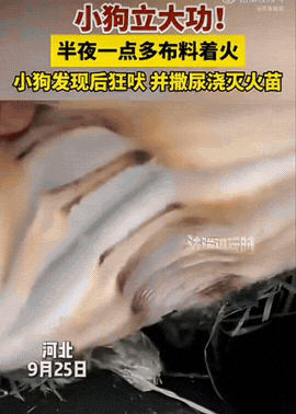河北衡水，中秋凌晨，所有人都在熟睡，家里杂物间的布料突然意外起火。火苗悄悄燃起