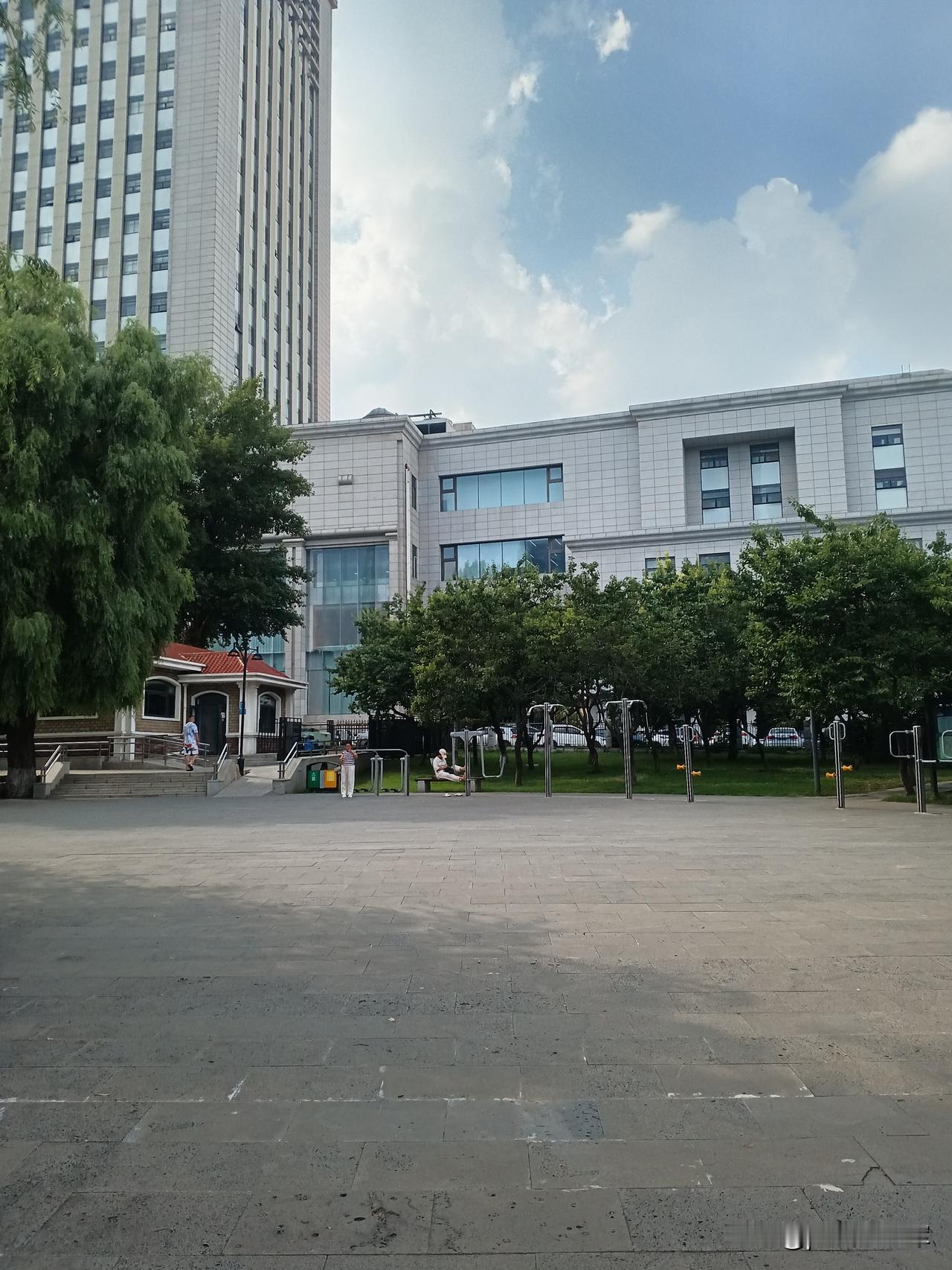 如此不堪下午出去晒太阳，站在公园的小路上，背对着太阳，可劲晒吧。晒完太阳朝运