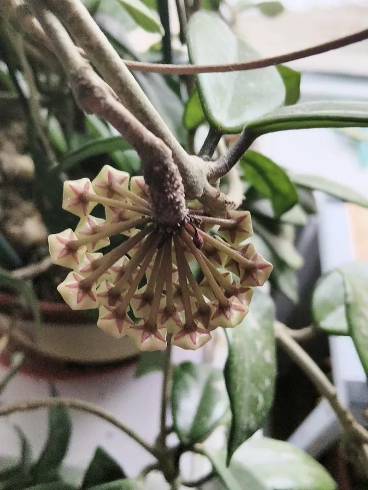 刘邦最恨的人雍齿是沛县大豪，在年轻时就很看不上刘邦这个乡镇混混，好几次折辱刘