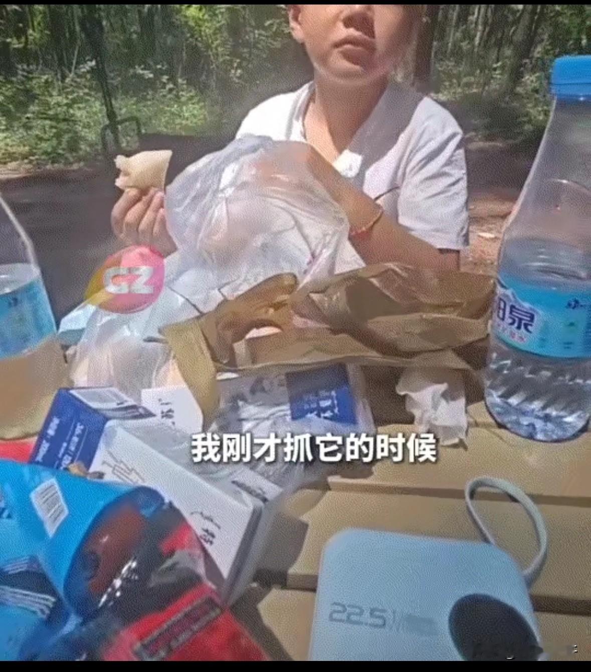 吉林，一男孩和妈妈在野外露营，期间就飞来一只蝴蝶停在妈妈手上不走了，男孩看着蝴蝶
