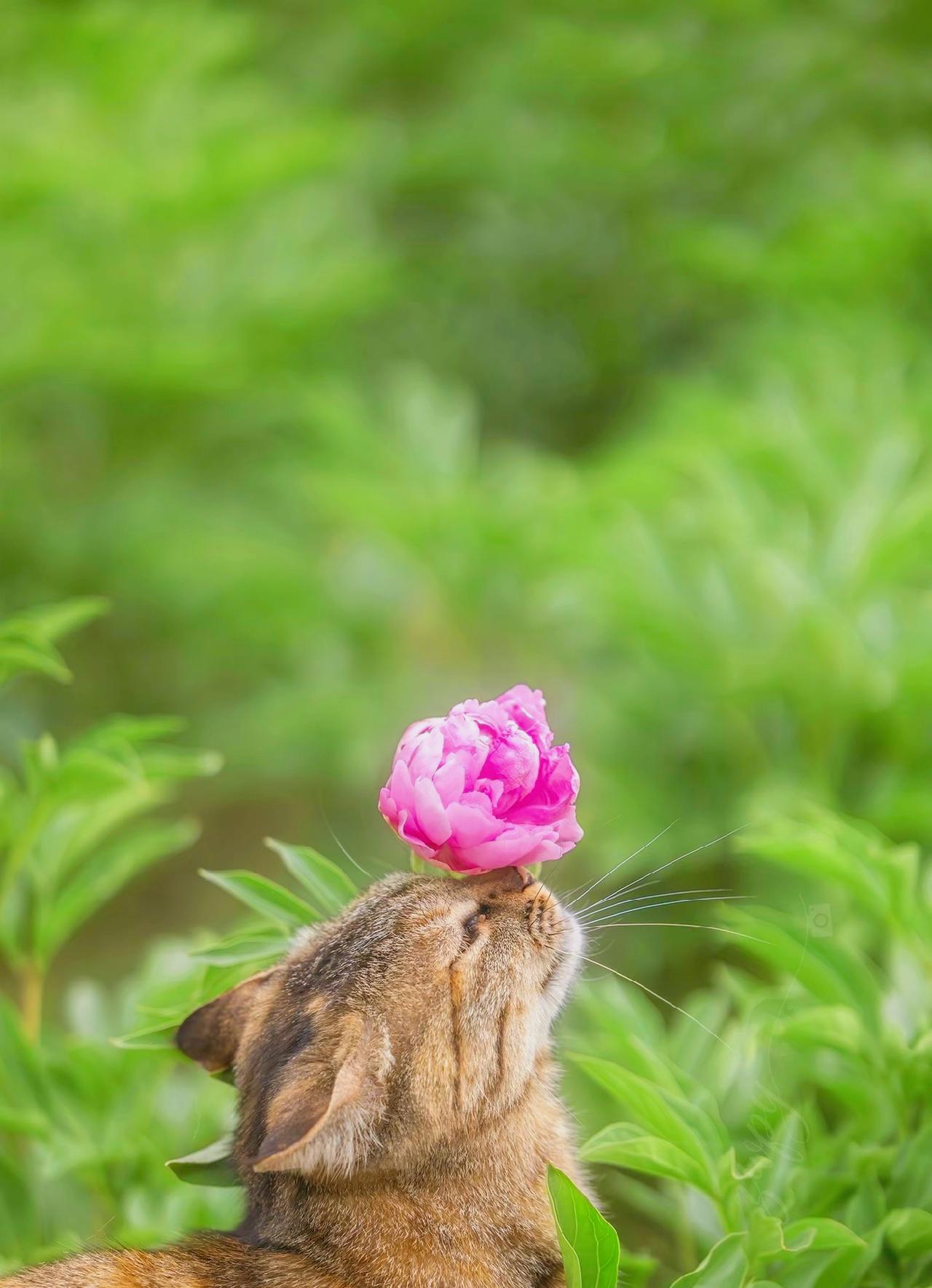 福薄之人，缺憾明显”：辛劳一生，却没有福报的人，有4个特征固执死板，一味蛮干完