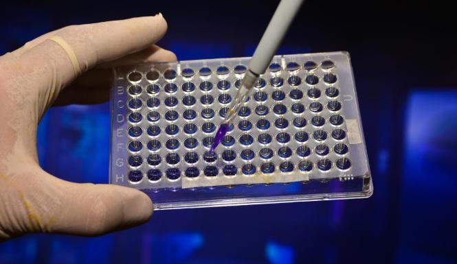 连瓶子钱都不让日本赚？国产的光刻胶专用玻璃瓶已经上线 最近中国半导体圈子里有