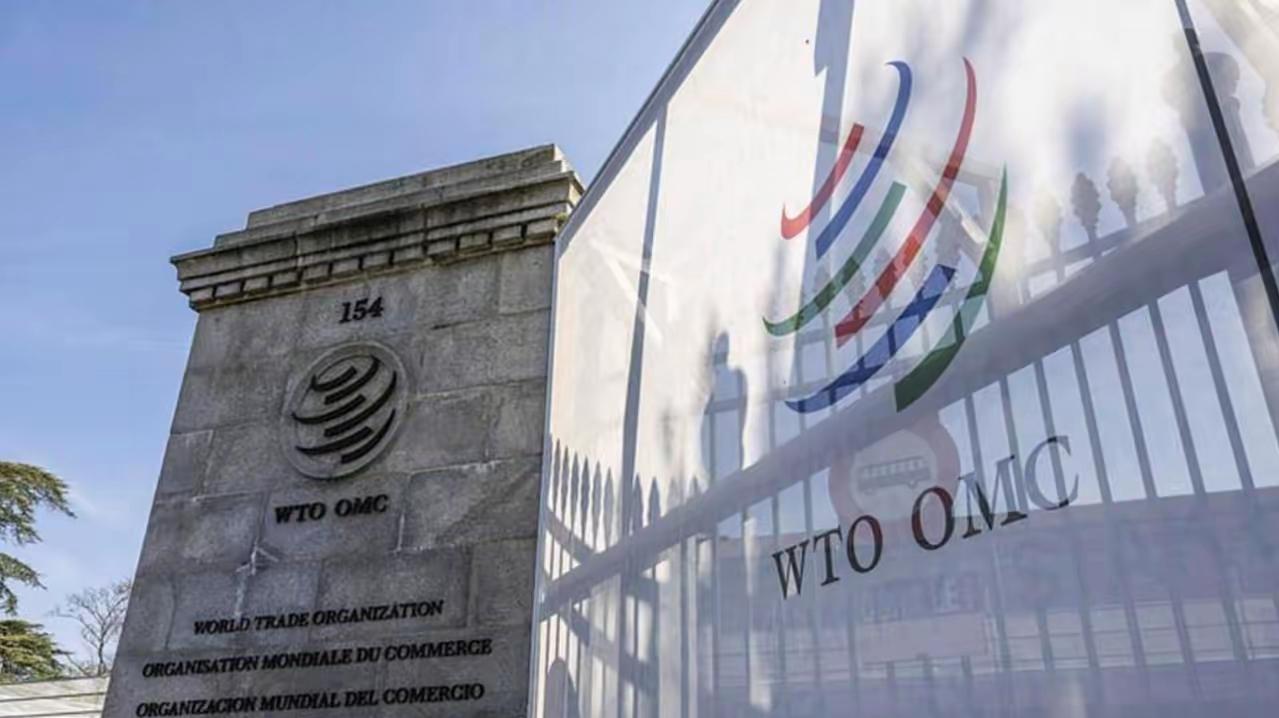 民进党当局真是丢人现眼！世贸组织第14届部长级会议将于本月26至29号在喀麦