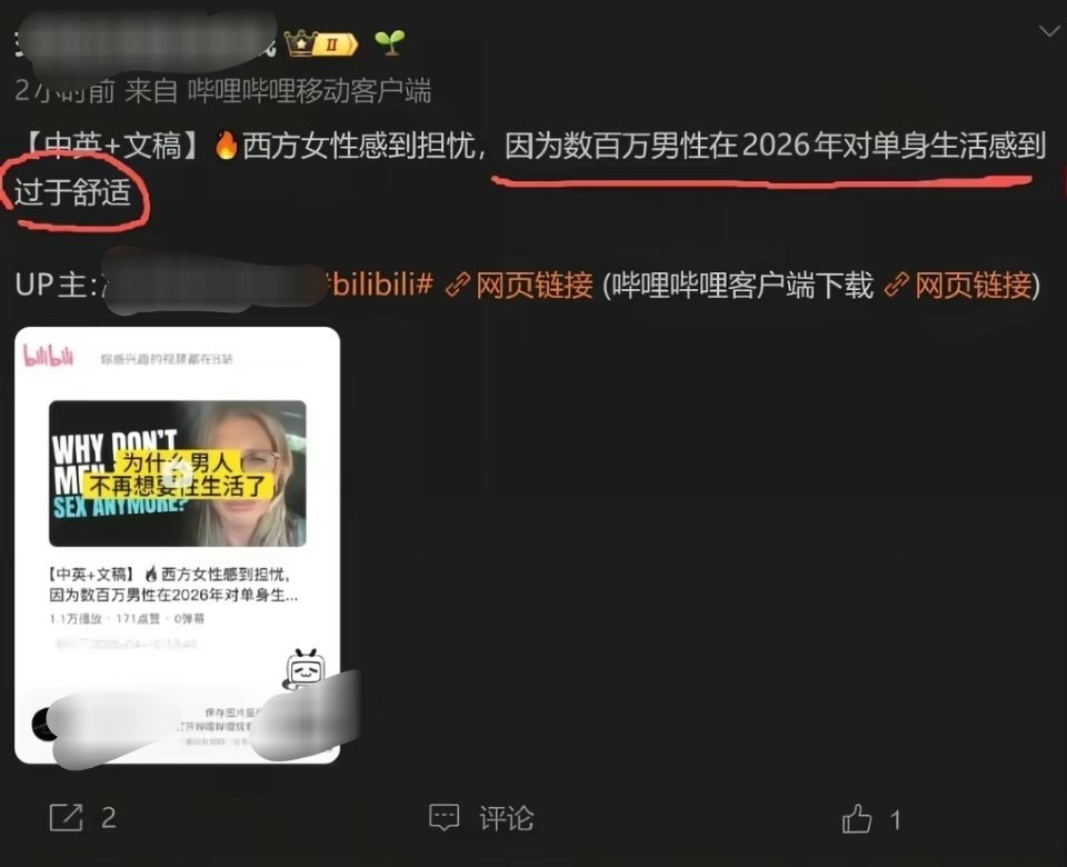 西方担忧欧美男性对单身生活感到过于舒适
