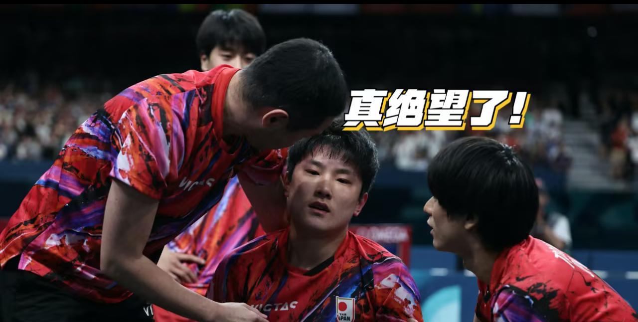 有时候，看到张本一家人为了赢得所谓的尊严和尊重，苦苦挣扎，其实活得应该是很沉重的