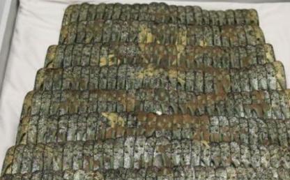 明代犀甲——朱元璋外甥李文忠遗物！两件皮甲上均有以金漆描绘而成的纹样，中部开光，