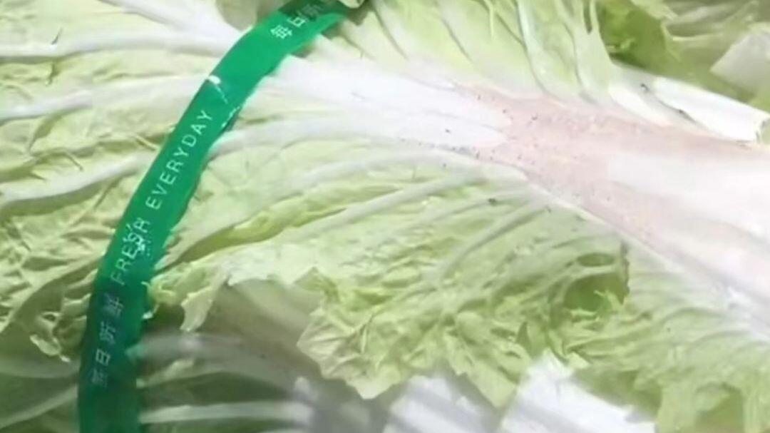 菜农损失惨重！请注意，不是菜农做甲醛蘸白菜，而是收购商甲醛占白菜！现在造成的结果