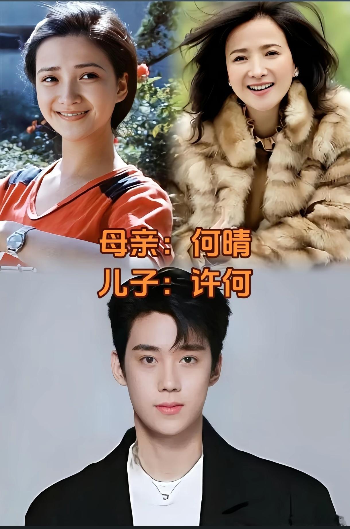 何晴包惜弱何晴的儿子许何好帅，颜值继承父母的所有优点，名字也是许亚军和何晴的姓